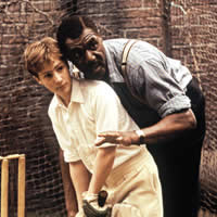 Image from Wondrous Oblivion