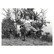 Scene from The Two of Us 