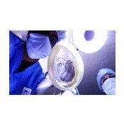 Scene from 'Naturalized'